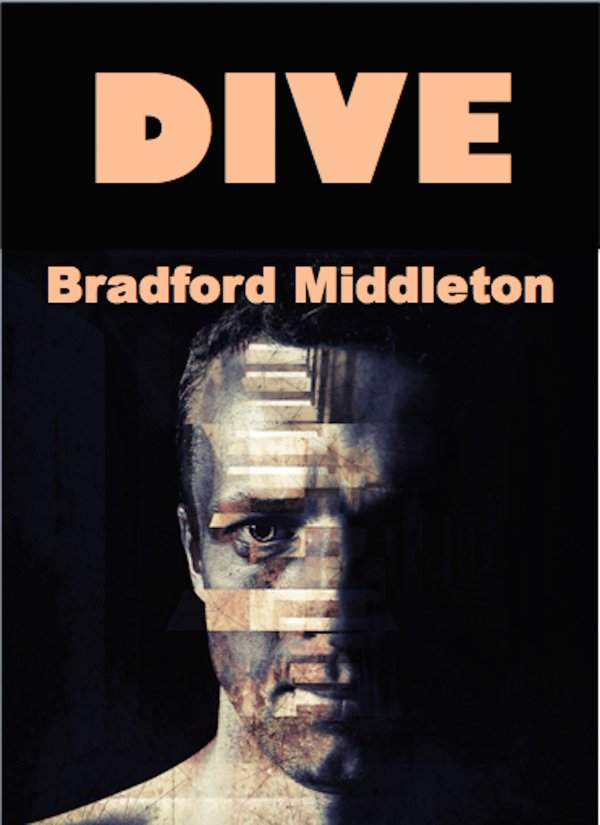 Cover of Dive