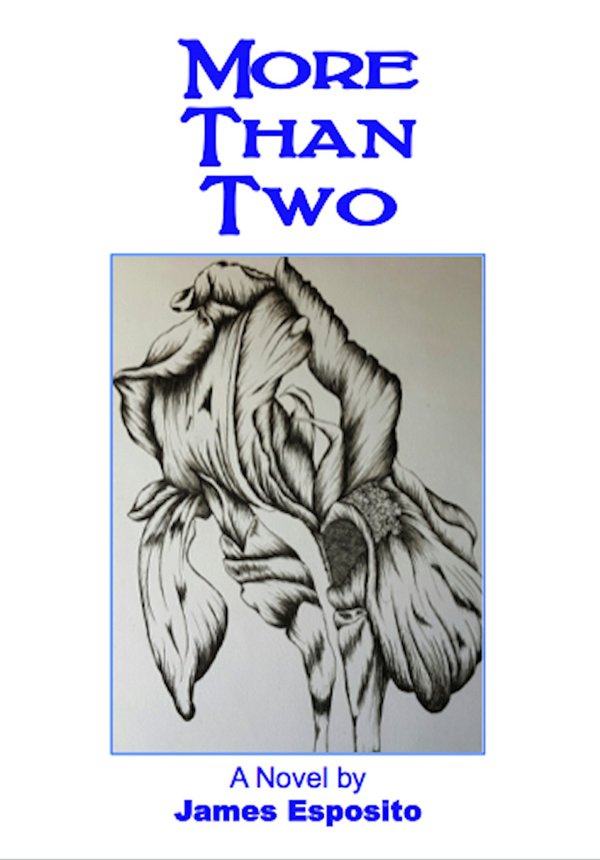 Cover of More Than Two: A Novel