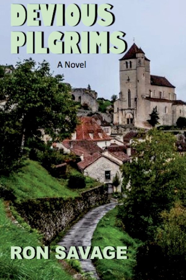 Cover of Devious Pilgrims