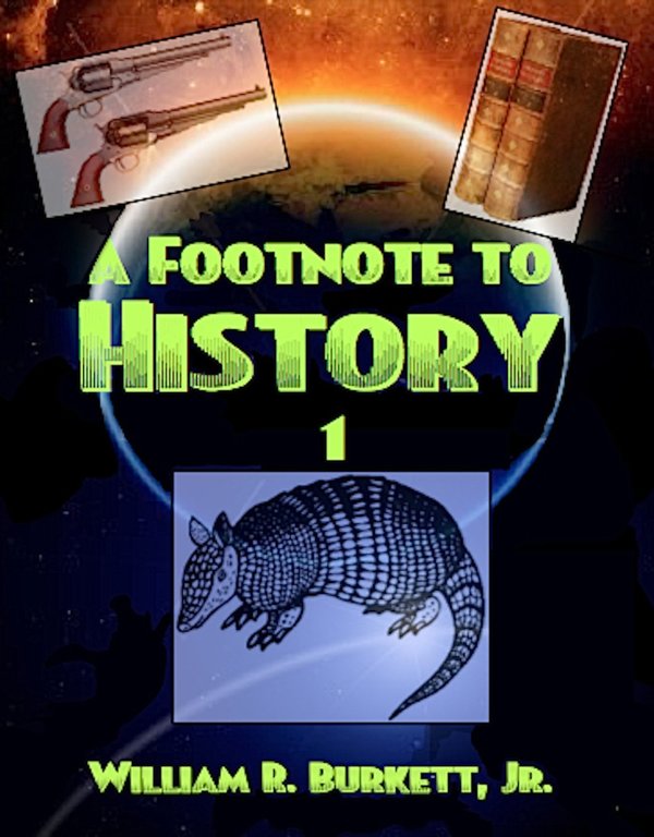 Cover of A Footnote to History