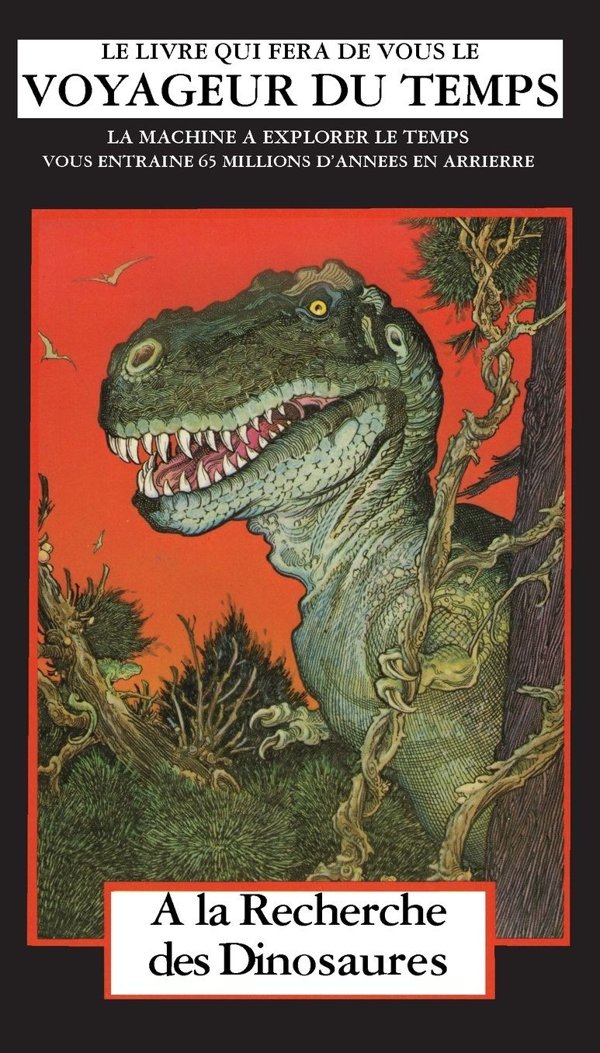Cover of A LA RECHERCHE DES DINOSAURS