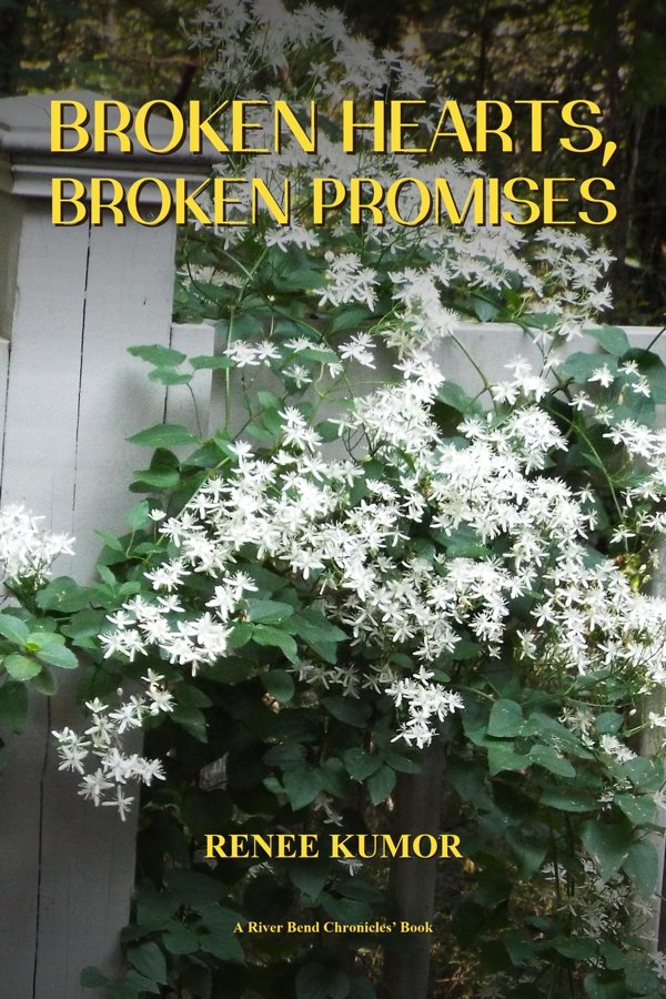 Cover of Broken Hearts, Broken Promises