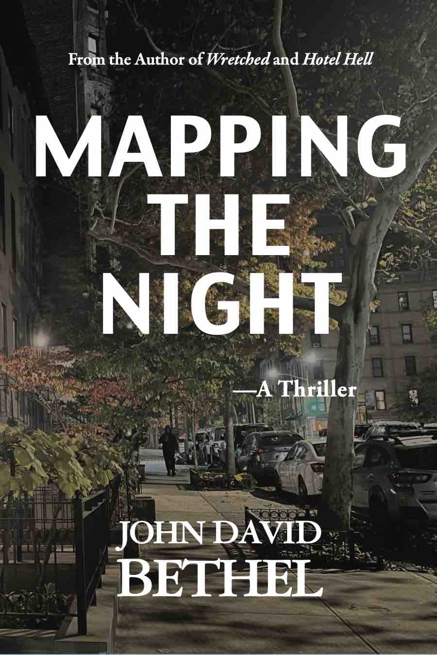 Cover of Mapping the Night
